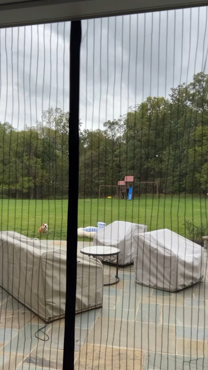 The screen door you never knew you needed ☺️ 
#outside #inside #kids #dogs #bugs #screendoor #doors #bugfree #fallhomeitem #home #amazon #amazonfind #amazonmusthave

#LTKhome