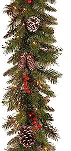 National Tree Company Pre-Lit Artificial Christmas Garland, Green, Frosted Berry, White Lights, D... | Amazon (US)