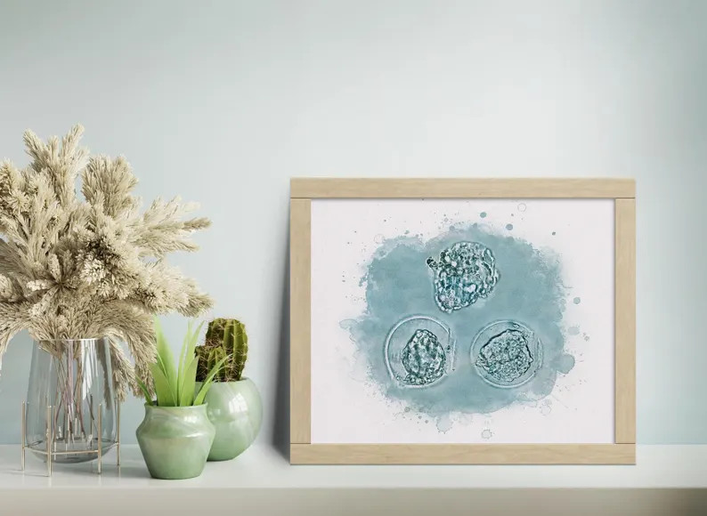 Custom IVF Art Embryo Watercolor Personalized Pregnancy Gift Nursery Wall Art Fertility Art Pregn... | Etsy (US)