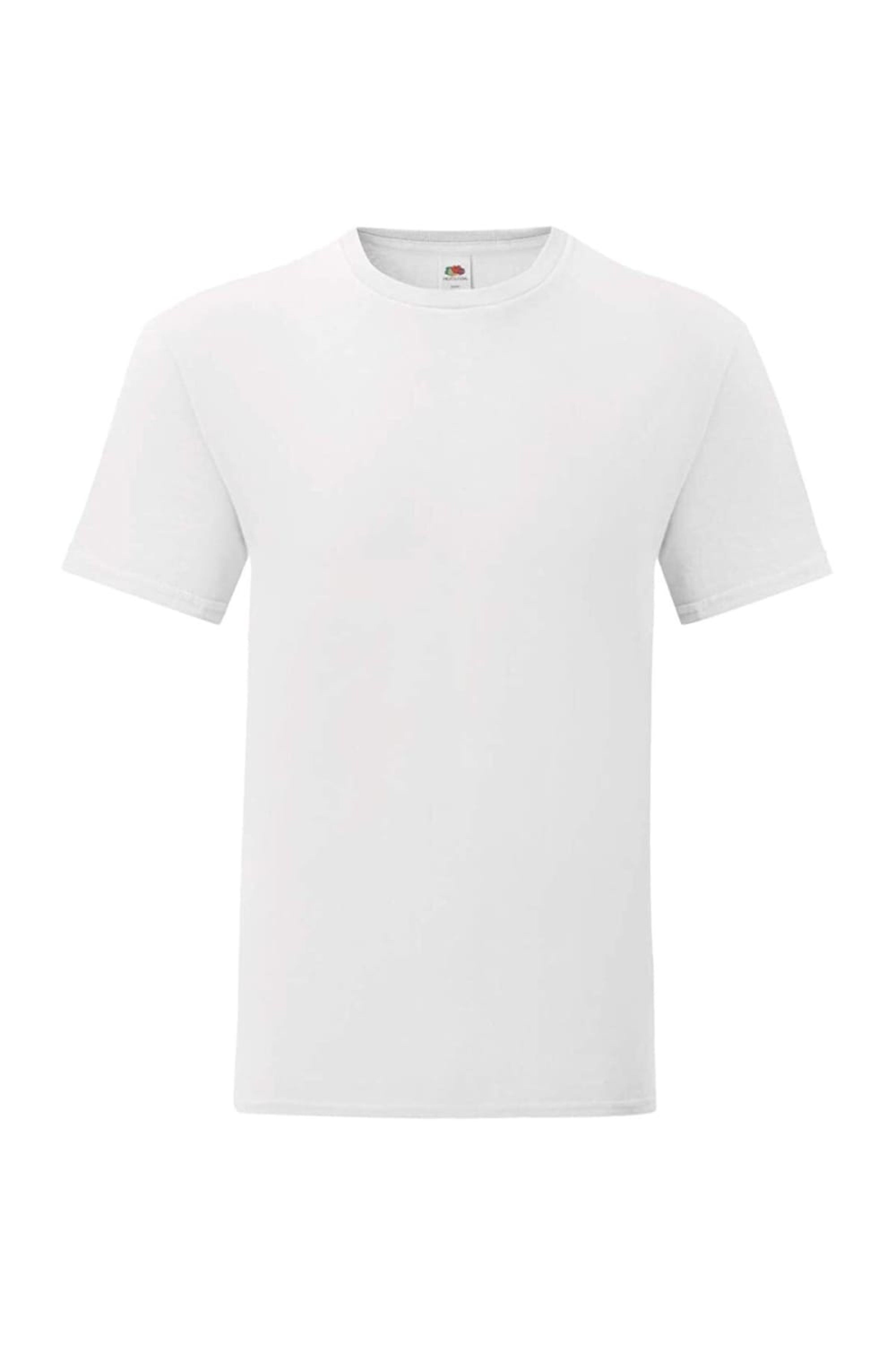 Fruit Of The Loom Mens Iconic Classic T-Shirt (White) - M - Also in: 4XL, 3XL, S, 5XL | Verishop