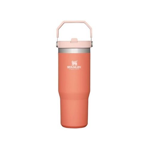 Stanley Iceflow Flip Straw 30 oz Tumbler | Scheels