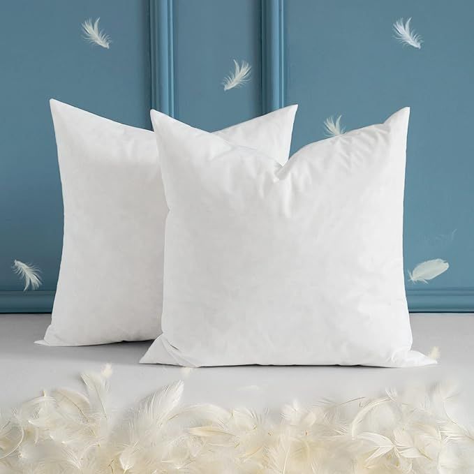MIULEE Set of 2 20x20 Inches Decorative Throw Pillow Inserts, Down and Feather Cotton Fabric Pill... | Amazon (US)