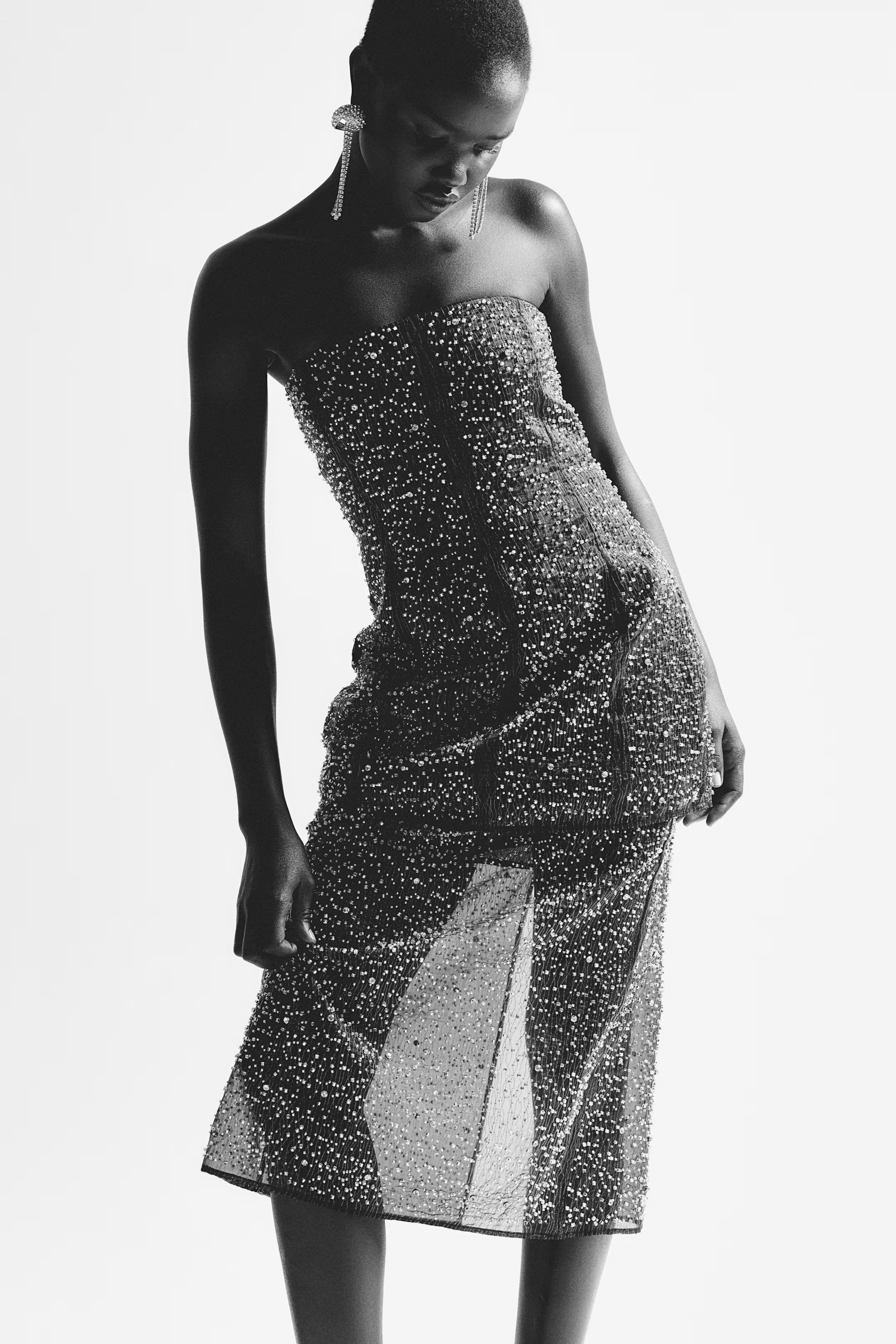 Embellished Organza Skirt - Black/silver-colored - Ladies | H&M US | H&M (US + CA)