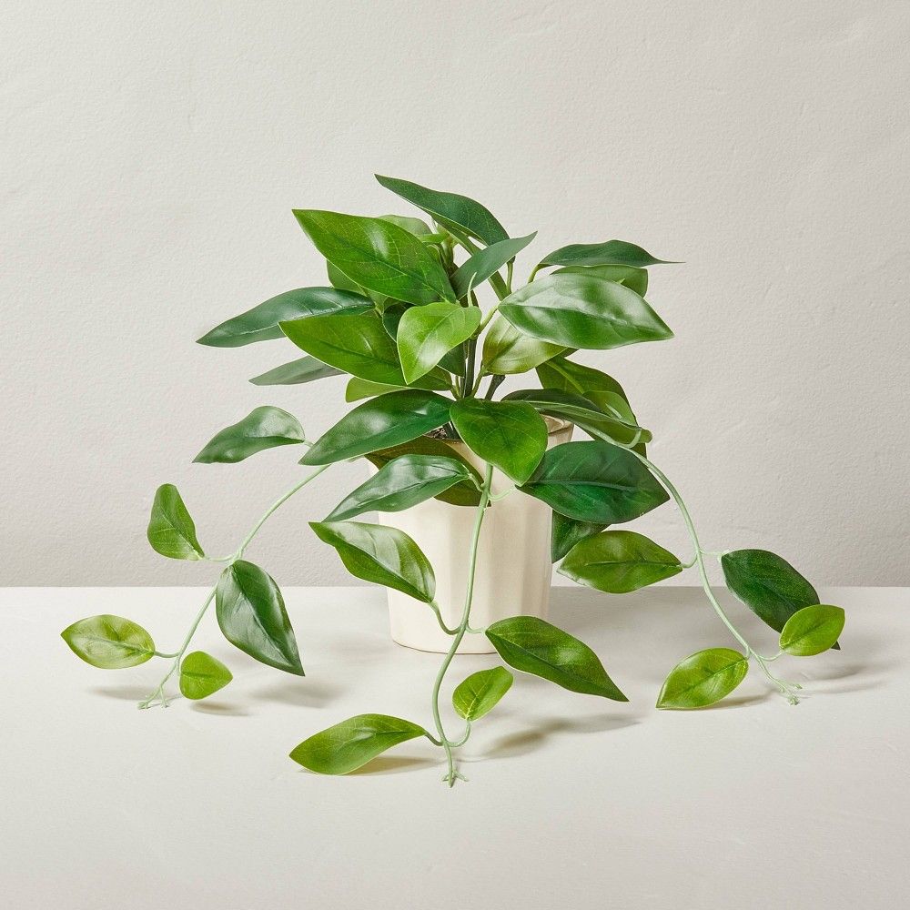 12"" Faux Hoya Plant - Hearth & Hand with Magnolia | Target