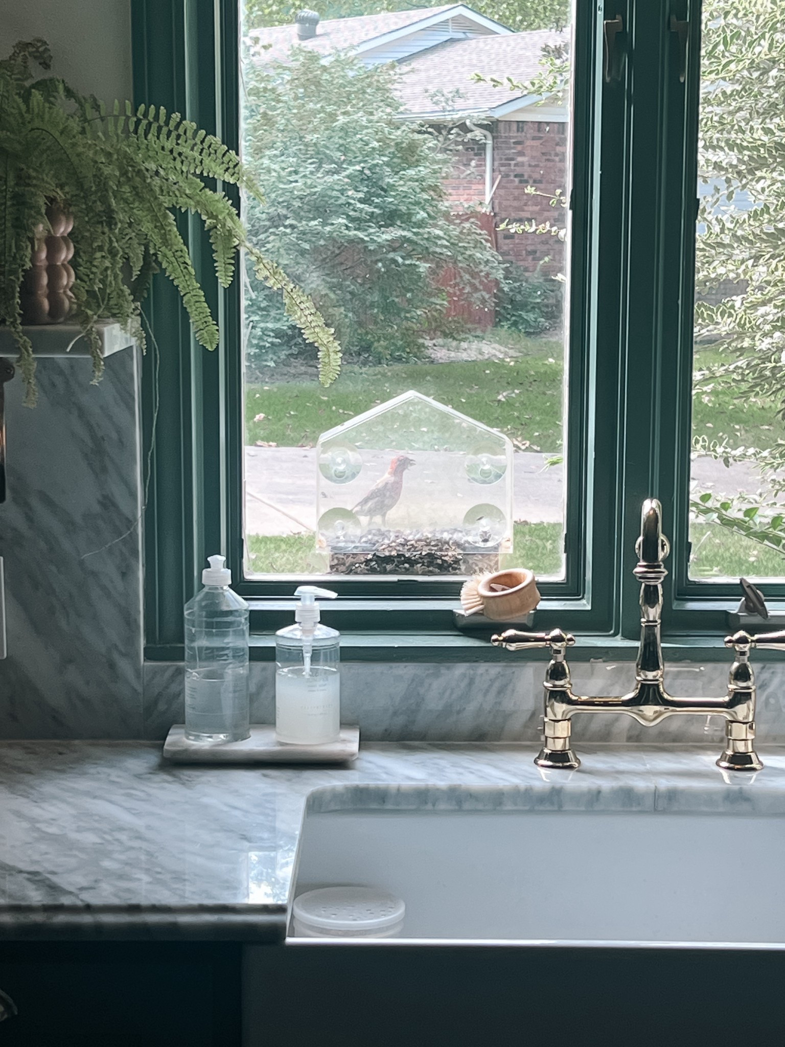 Our window feeder has a coupon to click on sale at Amazon right now!

#LTKHome
