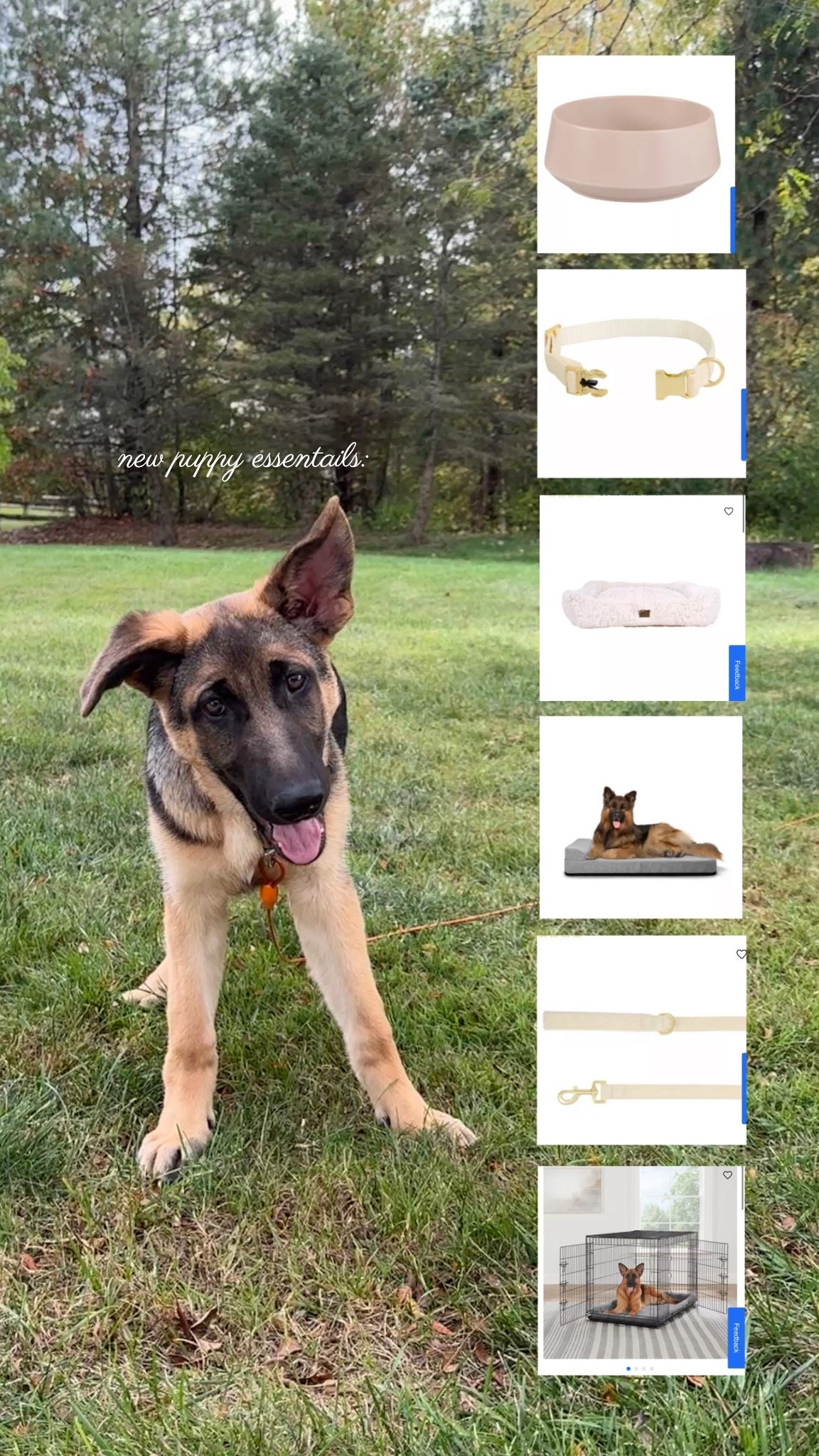 all of the puppy items we’ve bought so far: 🤍🐶🐾

#puppyessentials #germansheppard #puppycare #dogessentials  

#LTKPets #LTKStyleTip #LTKSeasonal