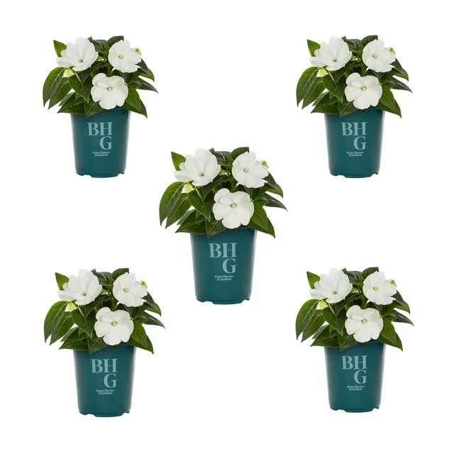 Better Homes & Gardens | Walmart (US)