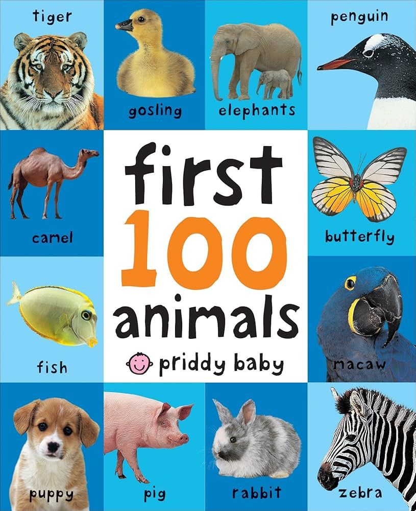 First 100 Animals | Amazon (CA)