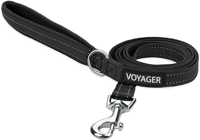 Voyager Reflective Dog Leash with Neoprene Handle, 5ft Long, Supports Small, Medium, and Large Br... | Amazon (US)
