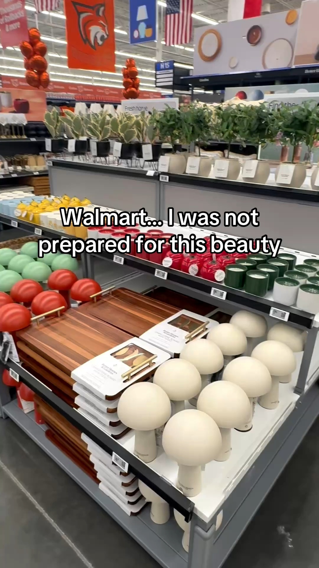 ok Walmart?? wasn’t expecting Anthropologie-level decor but here we are 🤍 ran in for one thing, left with a whole elevated home aesthetic #walmarthome #anthroinspired #unexpectedfinds #homefinds #cozyaesthetic #neutraldecor #affordablehome #interiorinspo #ltkhome #budgetluxury

#LTKSaleAlert #LTKHome #LTKdayinmylife