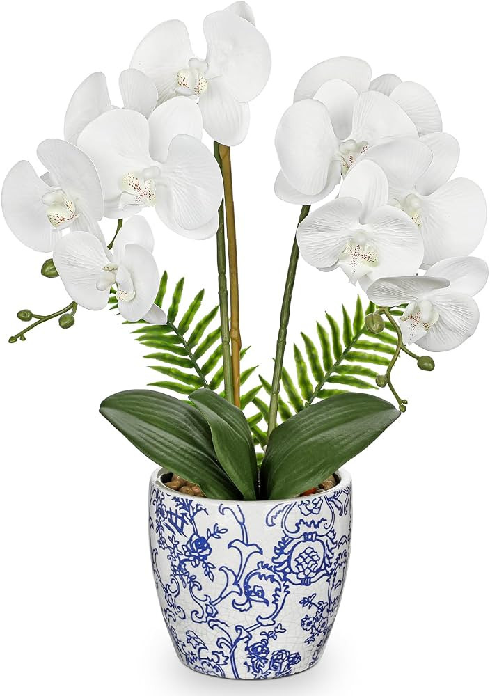 Briful Orchid Fake Flowers 18.8in White Orchid Silk Flower with Blue and White Pot Faux Orchid Ar... | Amazon (US)
