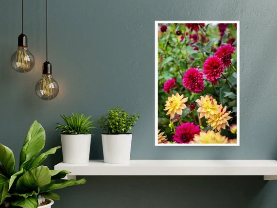 Framed Photograph  Honeybee & Dahlia Flowers  Natural | Etsy | Etsy (US)