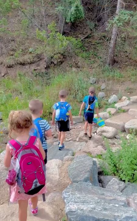 Highly recommend these hiking backpacks that are perfect for the kids outdoor activities! #amazonfinds #hikingmusthaves #travelessentials #kidsfavorite

#LTKtravel #LTKkids