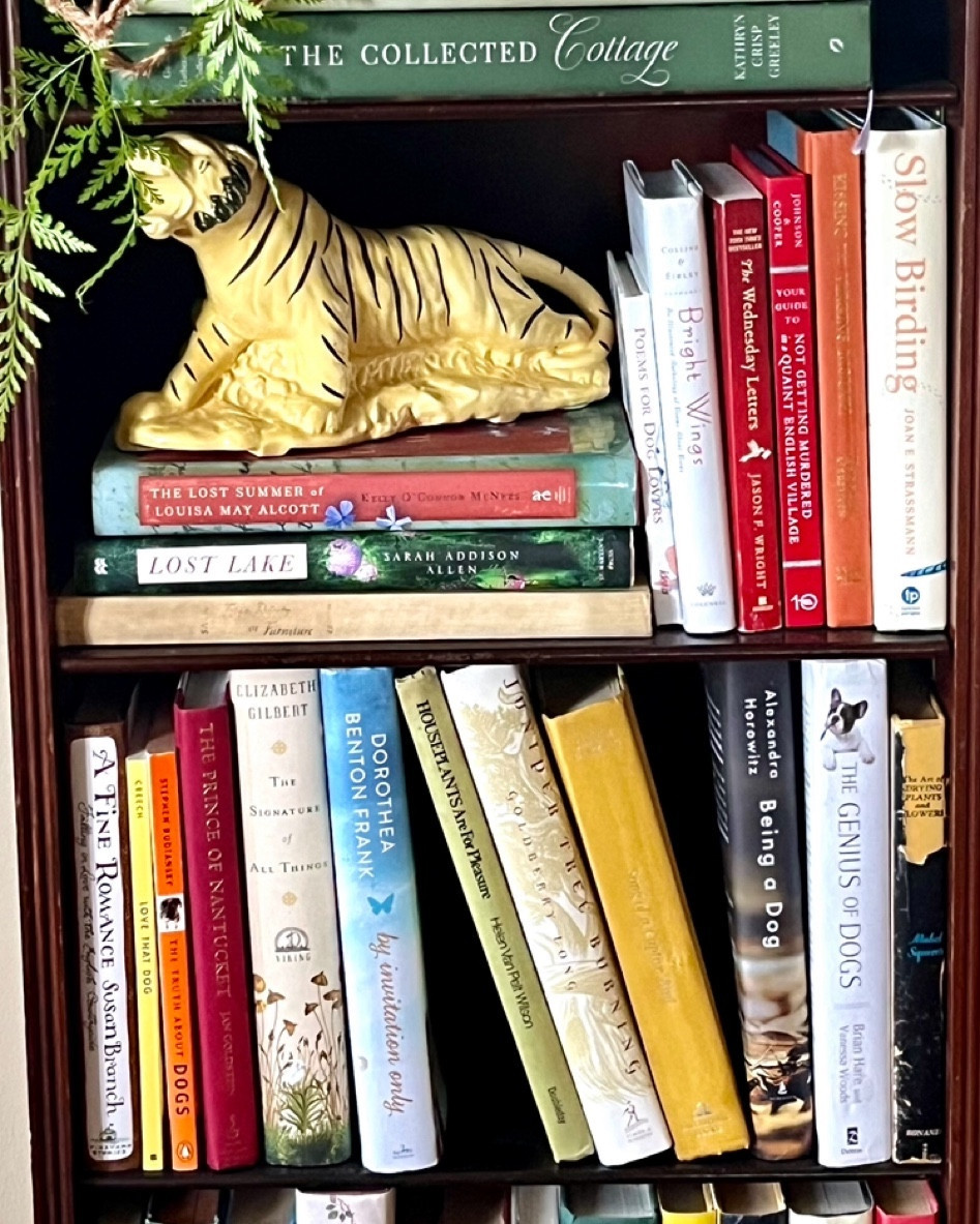 The Tiger planter adds just the touch to few shelves of books.. plus looks great empty..found a few of these vintage planters and some similar versions!

#LTKhome #LTKstyletip