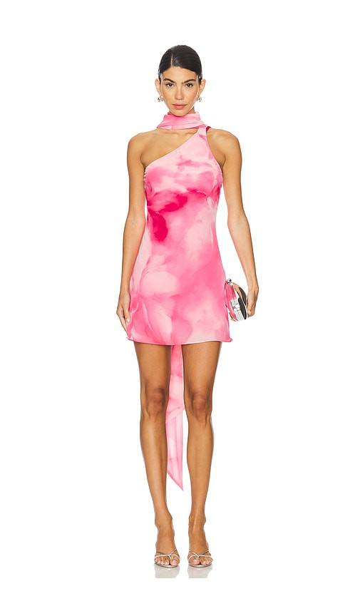 Lovers and Friends Kima Mini Dress in Pink. - size M | Revolve Clothing (Global)