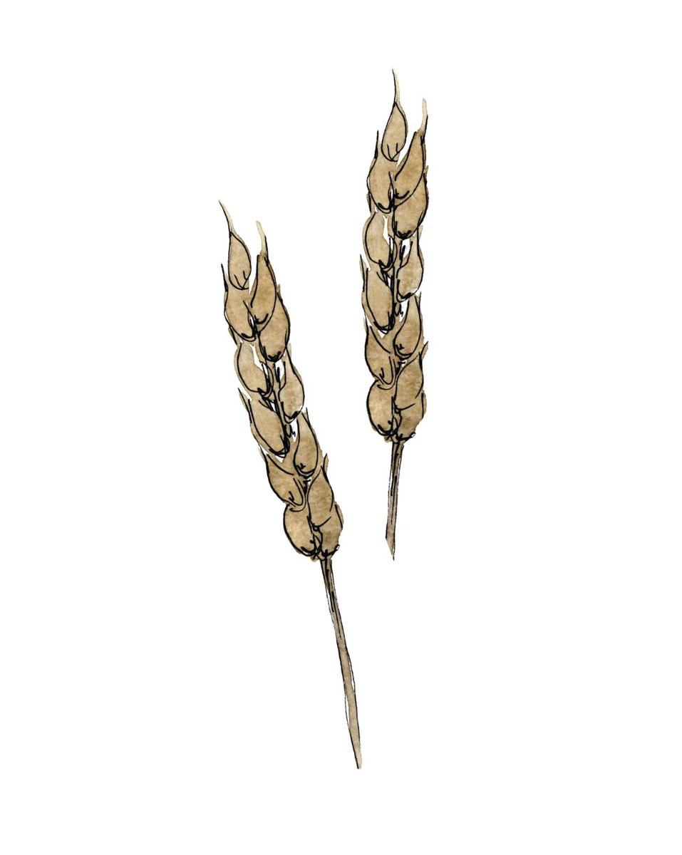 Dried Floral III | Collection Prints