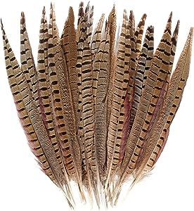 20pcs Male Pheasant Feather Natural Ringneck Tails Feathers 14-16inch 35-40cm for Crafts Home Wed... | Amazon (US)
