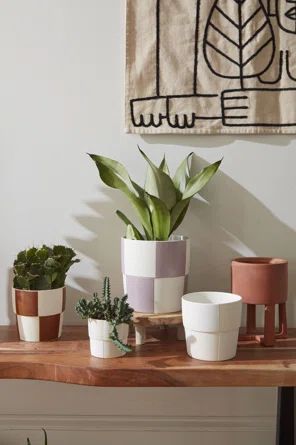 Caitlin Ceramic Indoor Pot Planter | Wayfair North America