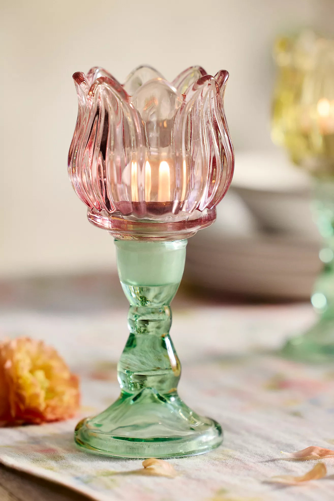 $20.00 | Anthropologie (US)