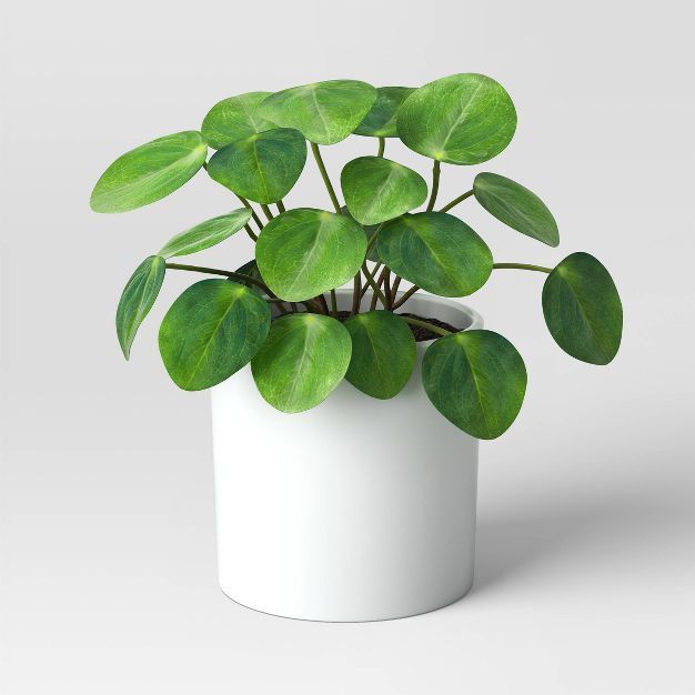 Artificial Coin Shape Pilea Plant - Threshold™ | Target