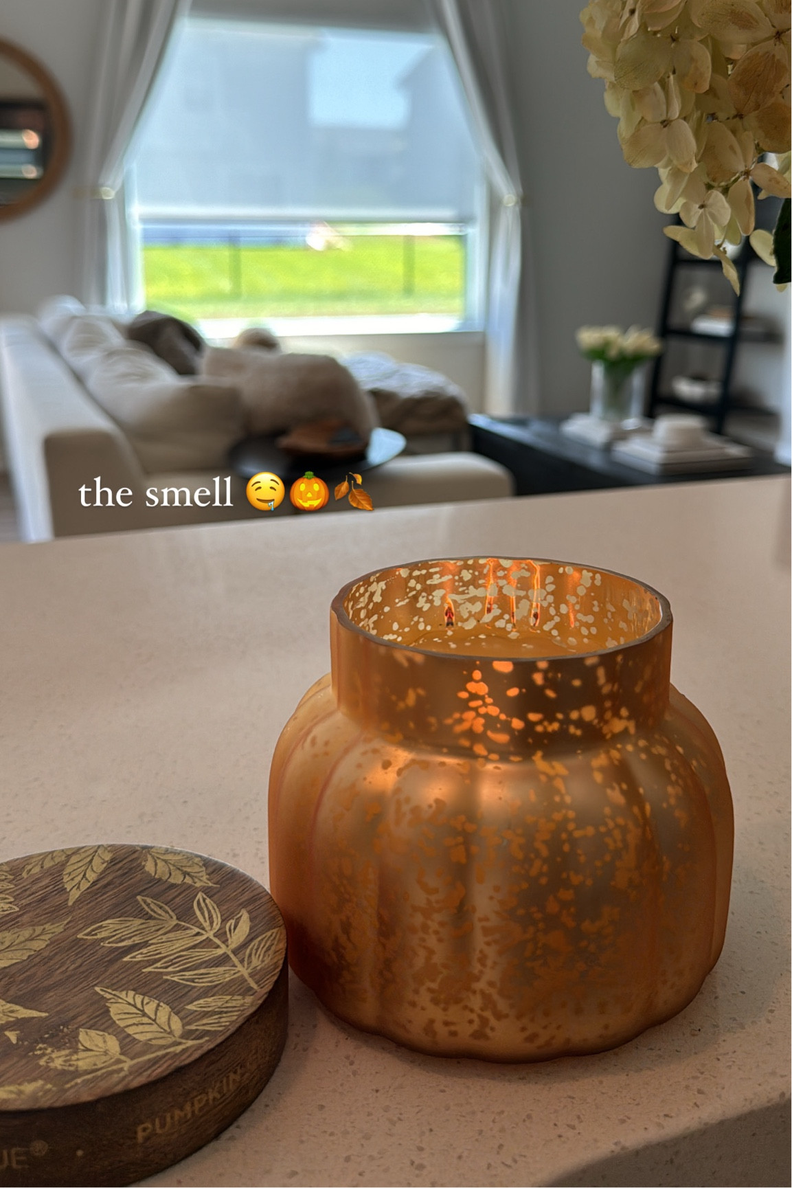 Obsessed 🎃🍂

#LTKHome #LTKBacktoSchool #LTKFindsUnder50