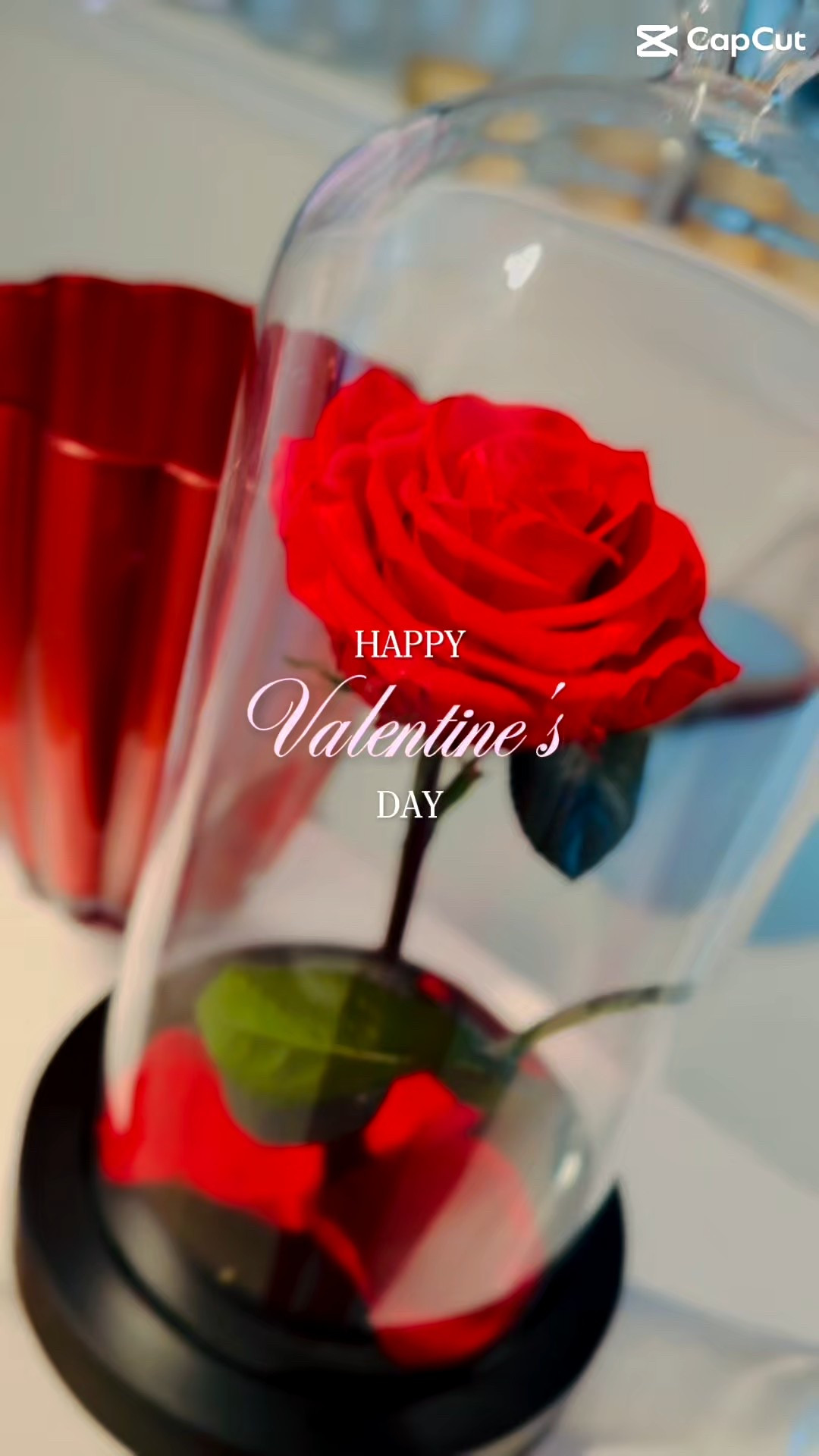 Valentine’s weekend vibes, but make it intentional 💕

My husband took me to Magdalena at The Ivy, and it was one of those slow, candle-lit evenings where time softens and presence matters.

I kept my look elevated but effortless:
✨ tailored pants from Express
✨ shoes + purse by Steve Madden

Classic silhouettes, romantic energy, and comfort that lets you stay grounded in the moment. This is one of my favorite ways to do date night—polished, confident, and very me.

Joy Refined: softness without shrinking.

💗 Save this for date night inspo
💗 Tap to shop similar pieces
💗 Dress like the moment matters

#LTKValentines #DateNightStyle #JoyRefined #ExpressStyle #SteveMadden #RomanticVibes #LTKCreator #ValentinesWeekend #SoftGlam #MarriedLifeMoments

#LTKdayinmylife #LTKvlog #LTKgrwm