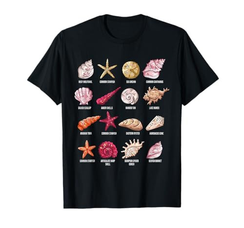 Types of Seashells Beach shelling Conch sea Shell T-Shirt | Amazon (US)