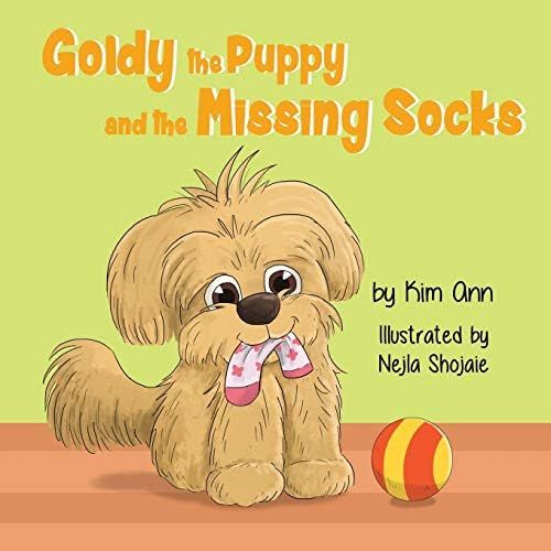 Goldy the Puppy and the Missing Socks | Amazon (US)