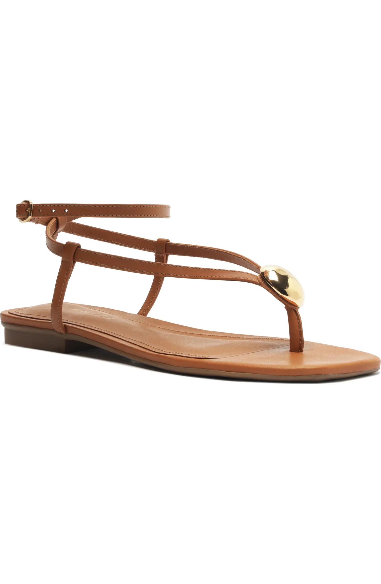 Arezzo Zuri Ankle Strap Sandal (Women) | Nordstrom | Nordstrom