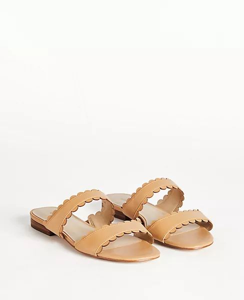 Jean Scalloped Flat Leather Sandals | Ann Taylor | Ann Taylor (US)