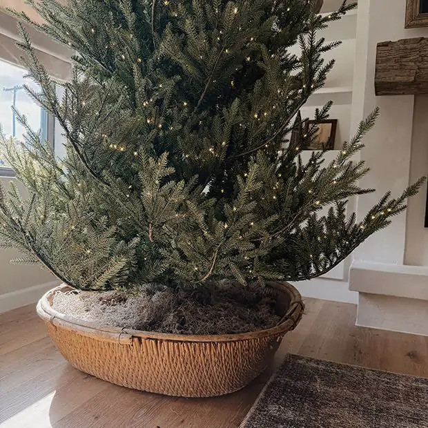 LARGE Woven Decorative Harvest Basket | Antique Farm House