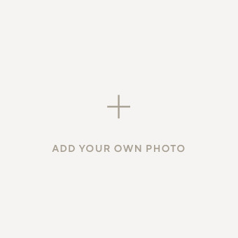 Aurelia Hand-Knotted Wool Rug | Pottery Barn (US)