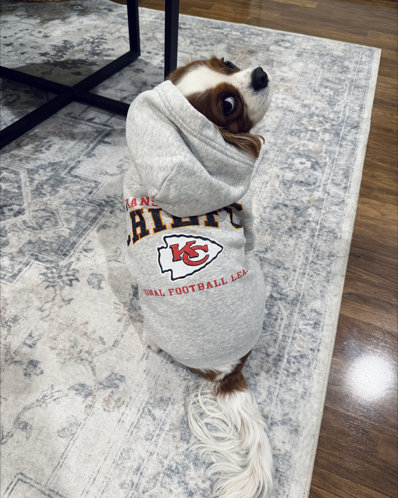 Piper’s OOTD

#LTKootd