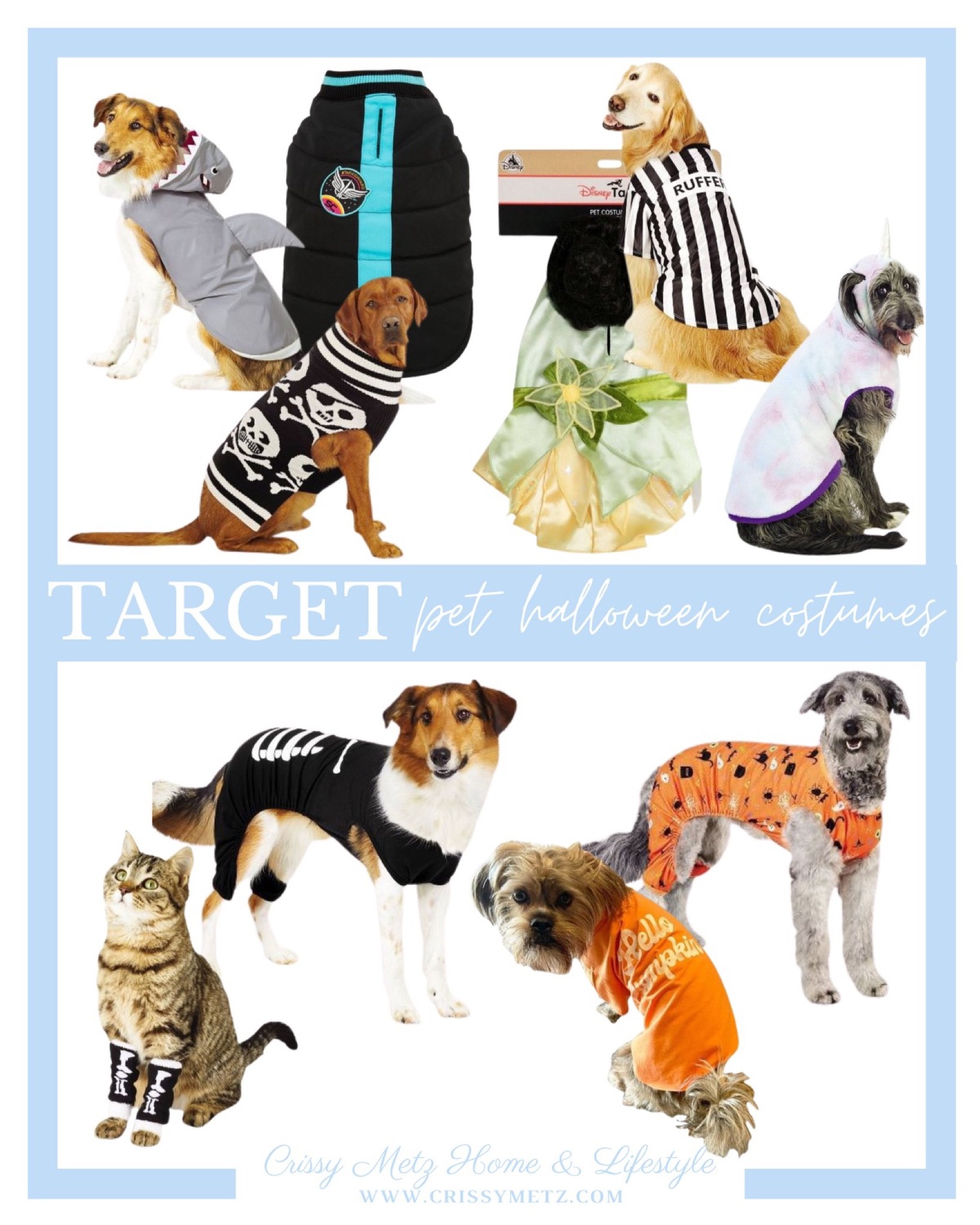 target Halloween, target pet Halloween, pet Halloween costumes, Ref costume, shark costume, Target, target fines, pet fines, dog Halloween costume, cat Halloween costume, dog costume, cat costume

#LTKHalloween #LTKSeasonal #LTKHoliday