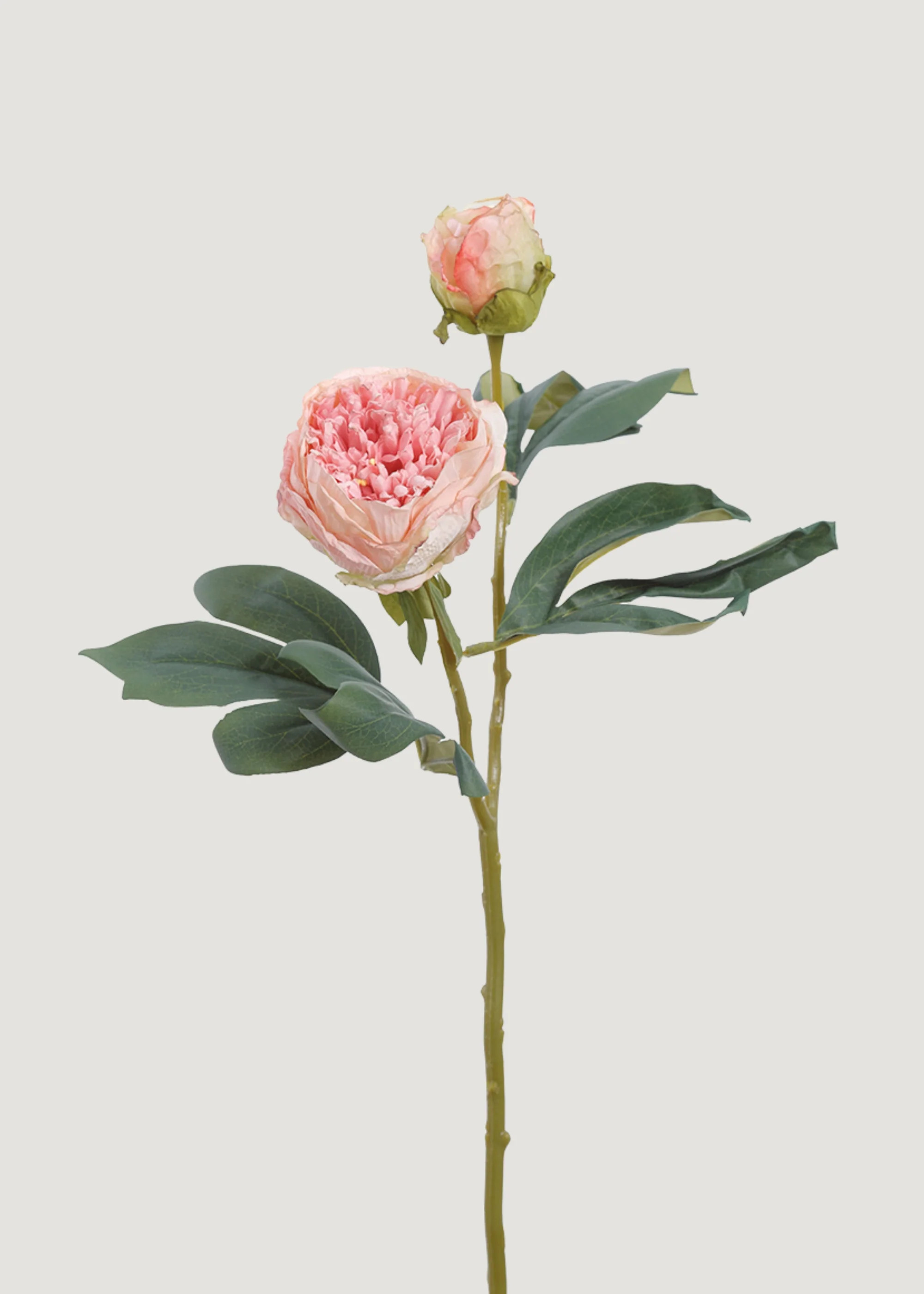 Artificial Petite Peony Flower in Pink - 19 | Afloral
