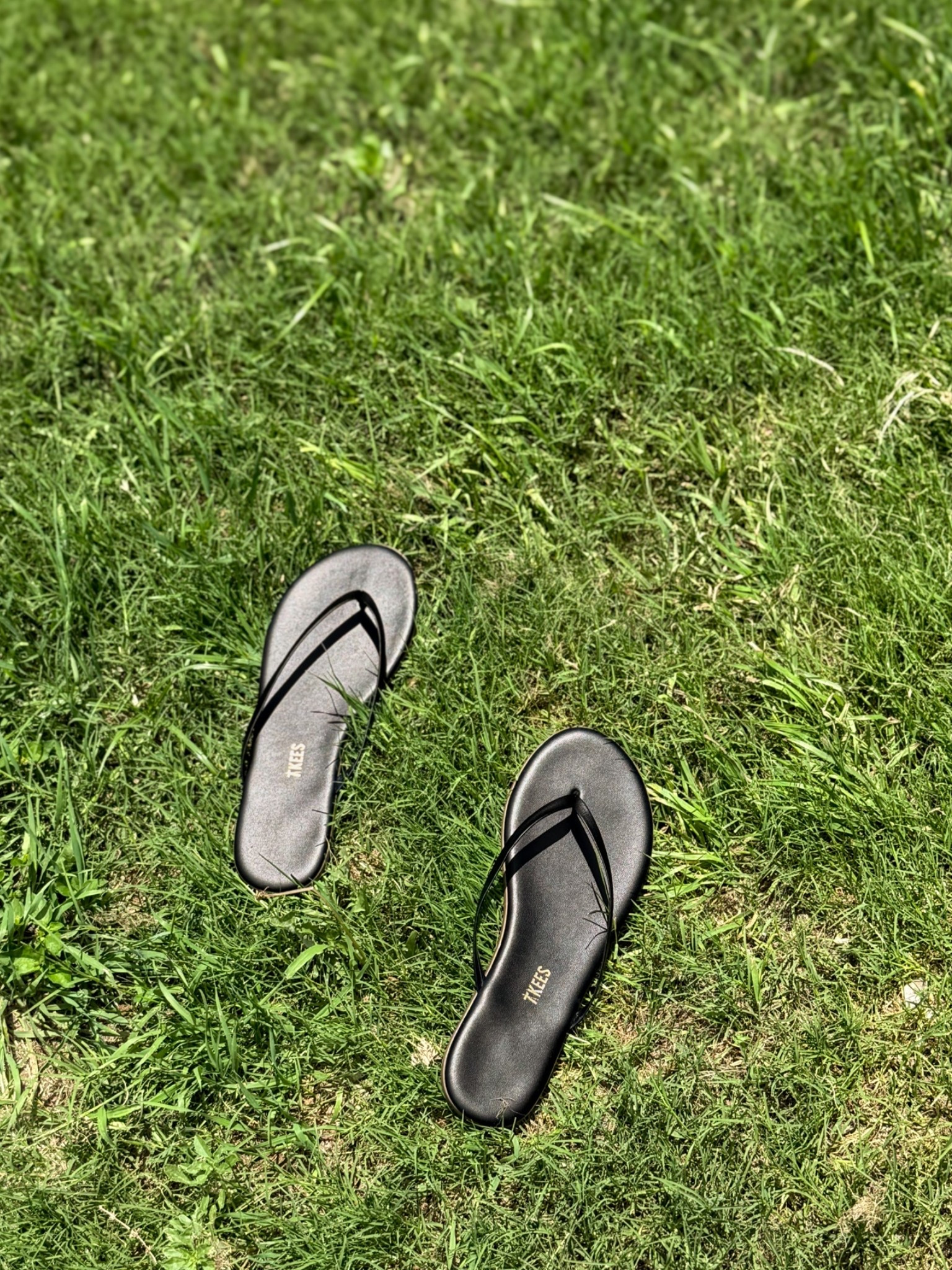 tkees season ♥️