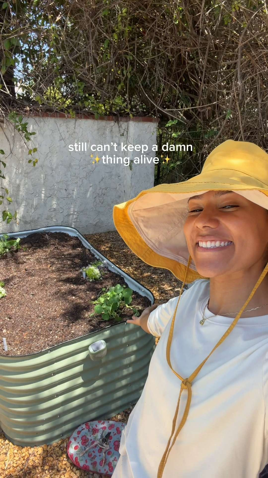 hundreds of dollars later and i just have an expensive hobby of hurting plants🥴 my stardew valley neighbors would BANISH me from town🙃 BUT i’m having a blast gardening as a beginner and learning a ton to apply to next go around, and that’s all that matters!!🌱 right?? lollll #gardening #garden #outdoor #homedecor #home #cozy 

 #LTKHome