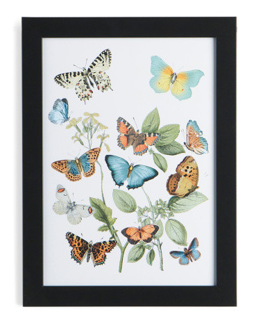 14x18 Botanically Butterflies Framed Print Wall Art | TJ Maxx