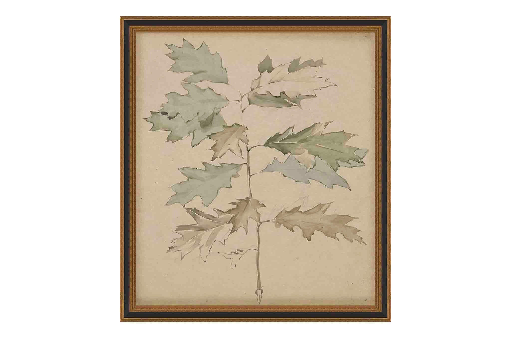 Leaf | North and Finch