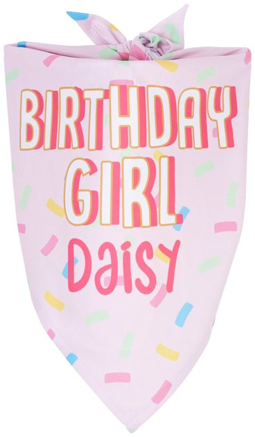 FRISCO Birthday Girl Personalized Dog & Cat Bandana, Large - Chewy.com | Chewy.com