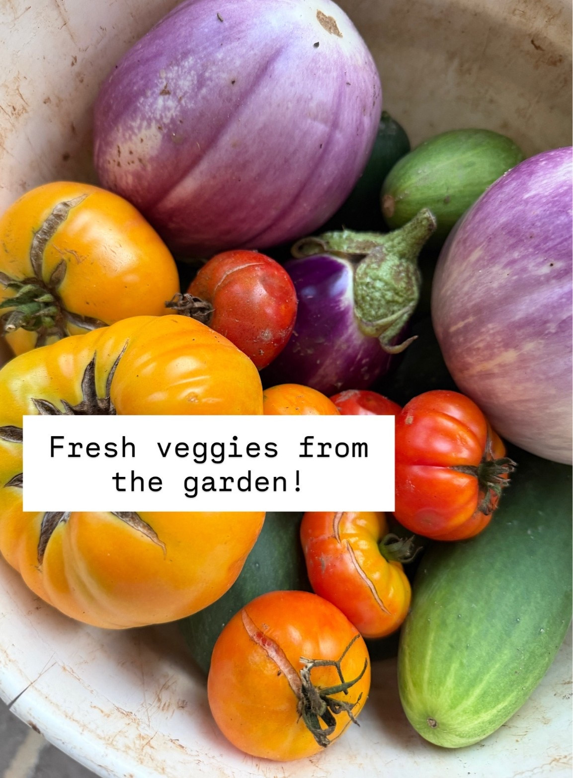 Love fresh vegetables from the garden! 😍

Loverly Grey, gardening, vegetables, home

#LTKHome