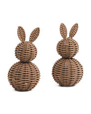 Set Of 2 Woven Bunnies | TJ Maxx