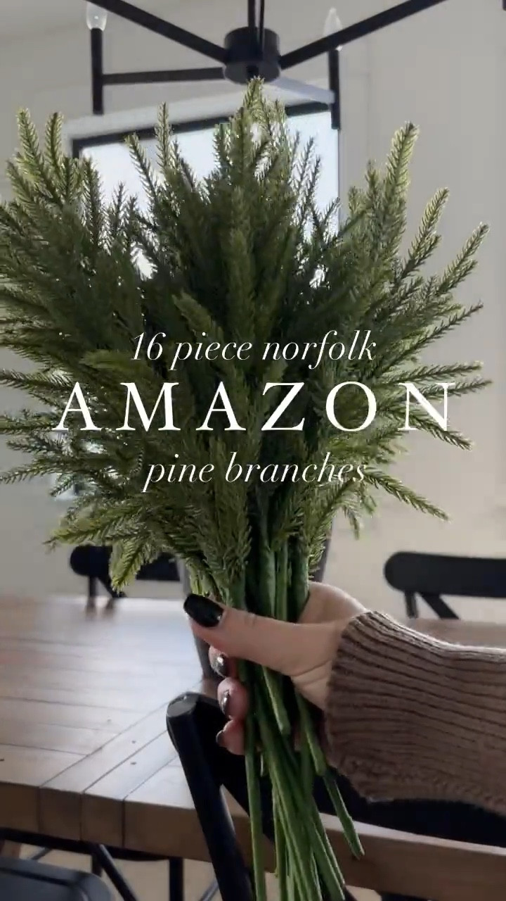 A M A Z O N / got the these norfolk pine branches last year & I am SO happy with them. 

Amazon Canada | Holiday Home Christmas Decor

#LTKhome #LTKholiday #LTKcanada