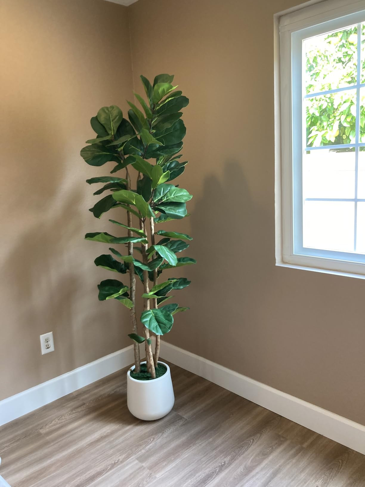 Artificial Fiddle Leaf Fig Tree with White Planter,5ft Tall Fake Tree with Natural Wood Trunk for... | Amazon (US)
