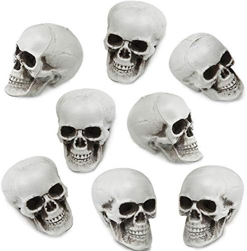8 Pieces Halloween Skulls Realistic Looking Skulls Human Skeleton Head Skull for Halloween Bar Ho... | Amazon (US)