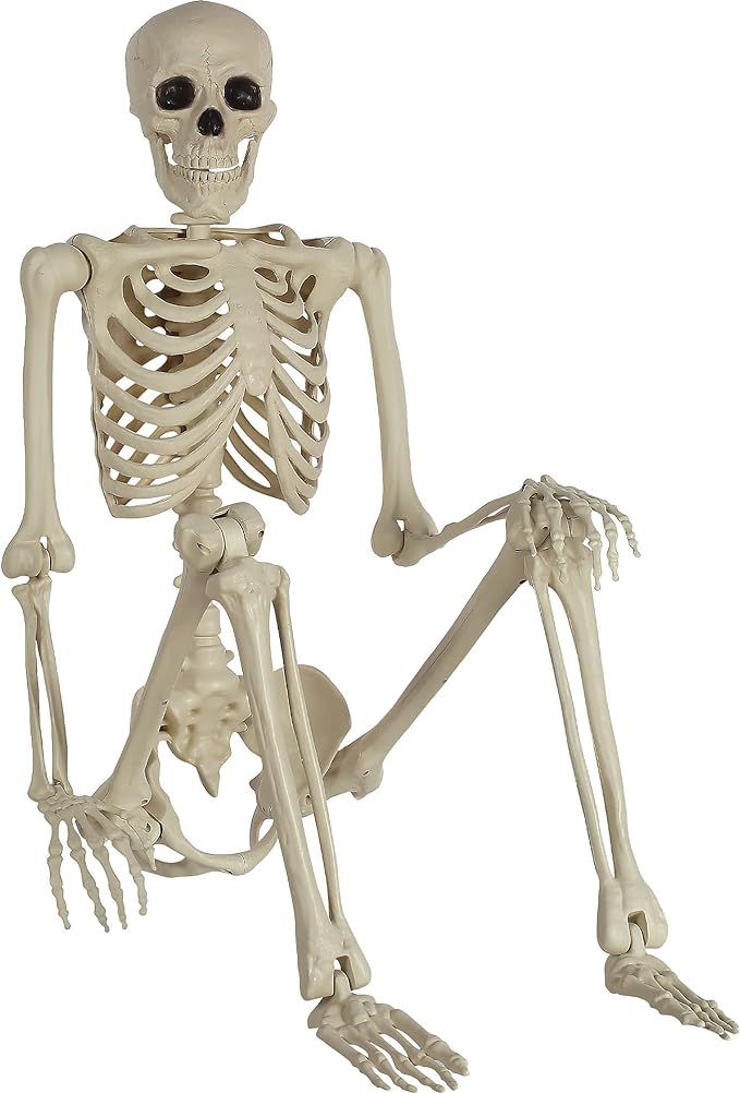 Life Size Skeleton - 60" | White | 1 Pc. | Amazon (US)