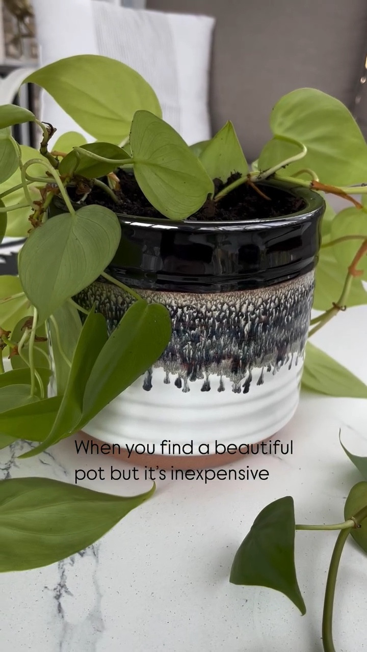 New planter for my plant! She was growing and needed a larger pot and this one is beautiful and so inexpensive.

#walmartfinds 
#planterpot 
#plantmom