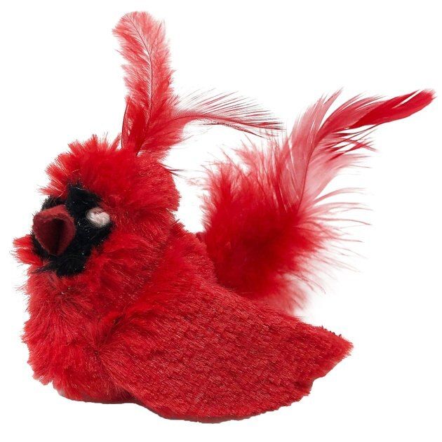 OURPETS Play-N-Squeak Real Birds Cardinal Cat Toy - Chewy.com | Chewy.com