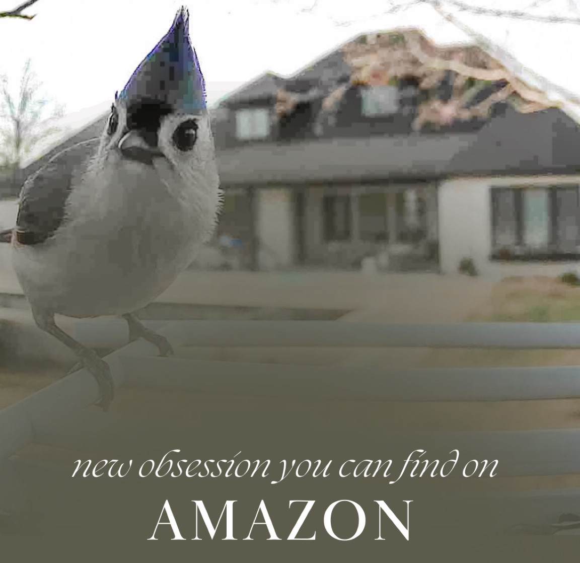 A solar powered bird feeder with a built on camera. What will they think of next?


#LTKSeasonal #LTKhome