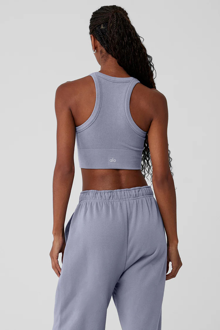 Seamless Delight High Neck Bra - Fog | Alo Yoga (US)